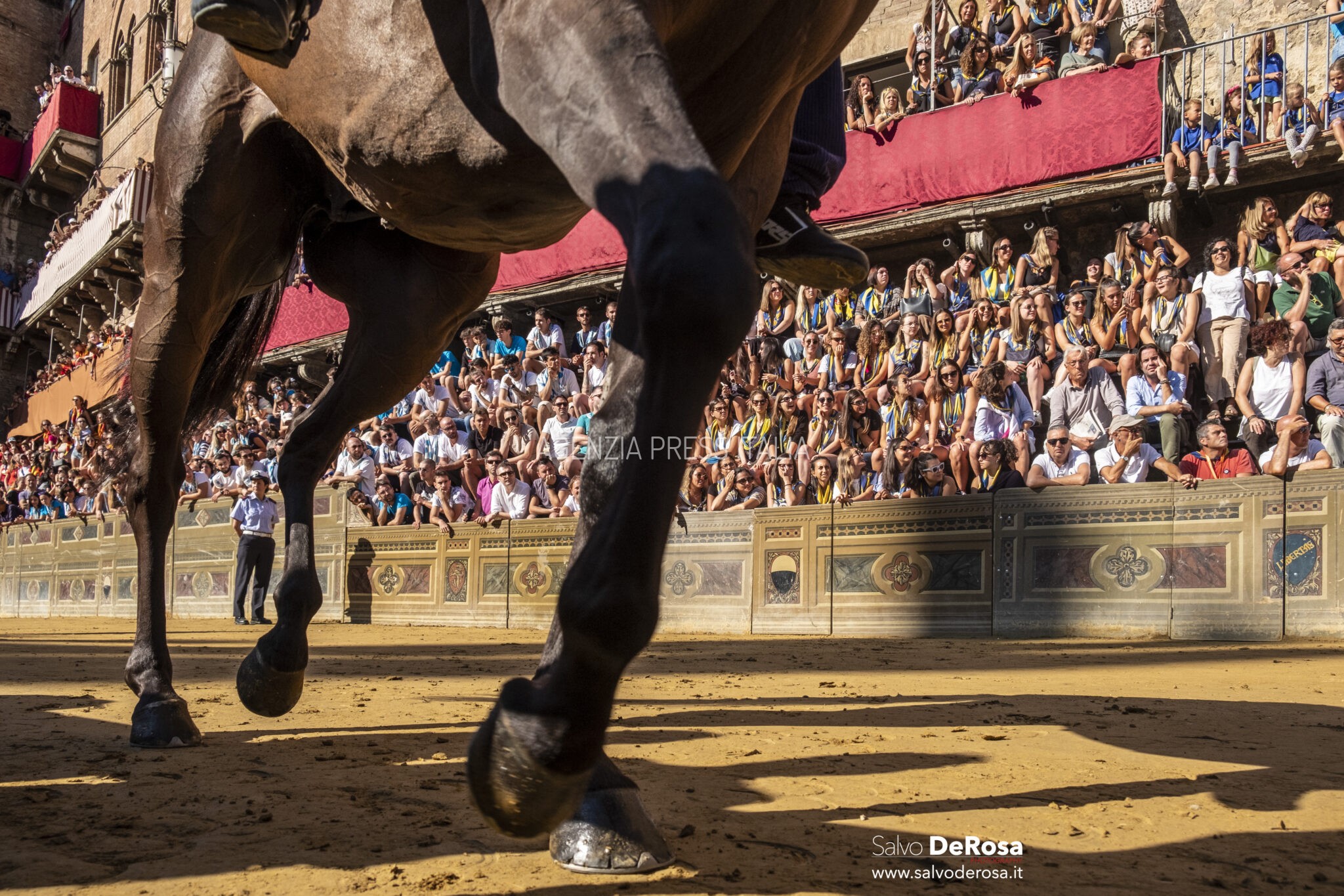 Palio di Siena 2022
